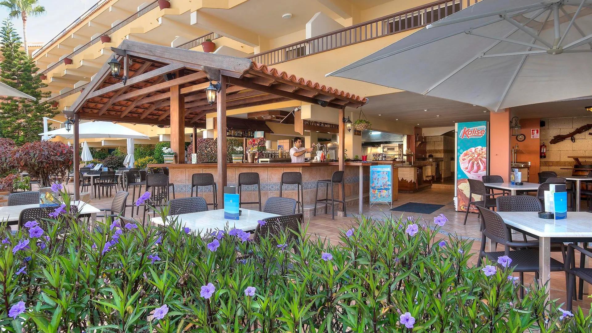 Отель Hovima Jardin Caleta Адехе